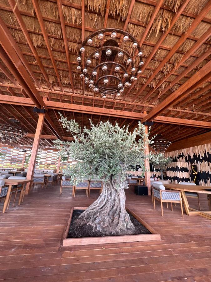 Richy By The Sea Apartment Năvodari 외부 사진